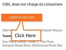 Click on dispute an item
